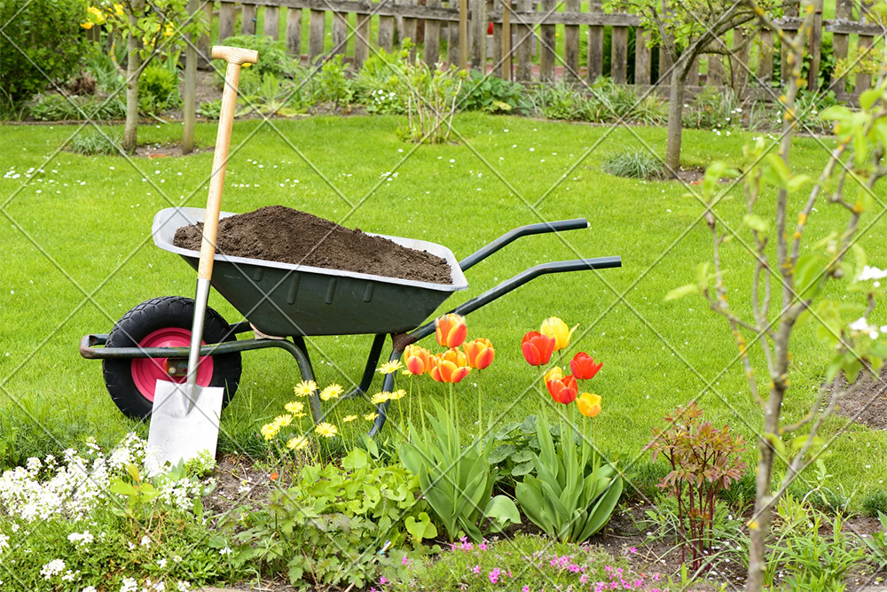 庭院植物養護——春季篇